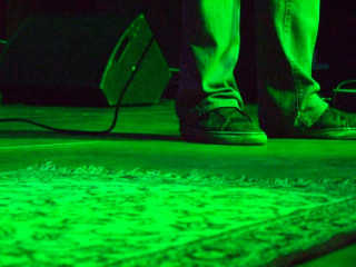 Concert du 28 mars 2009 (The Toads)