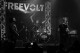 Freevolt@Gones'n'Live Festival 2014, Chaponost, Lyon (FREEVOLT)