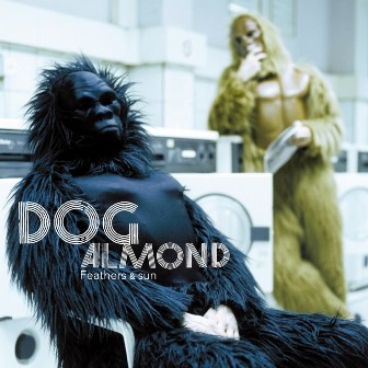 DOG ALMOND concert (Pop Electro)