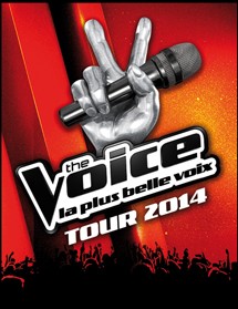 The Voice Tour 2014 à Nice le 15 Juin 2014